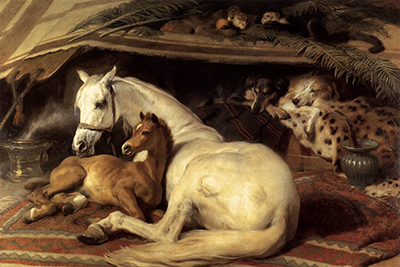 The Arab Tent Edwin Henry Landseer